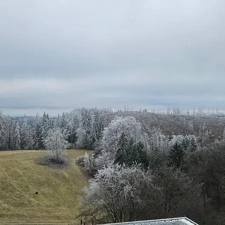 Manhattan 516 Mit Schwimmbad Apartment Braunlage