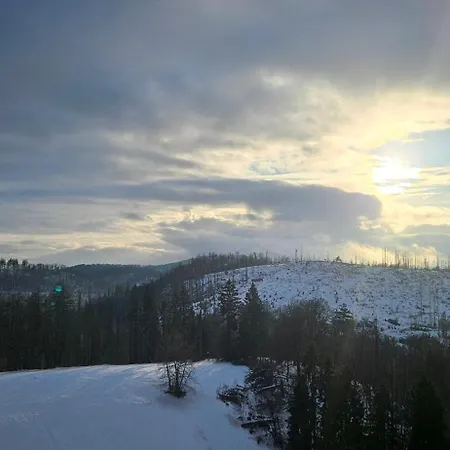 Appartement Manhattan 516 Mit Schwimmbad Braunlage