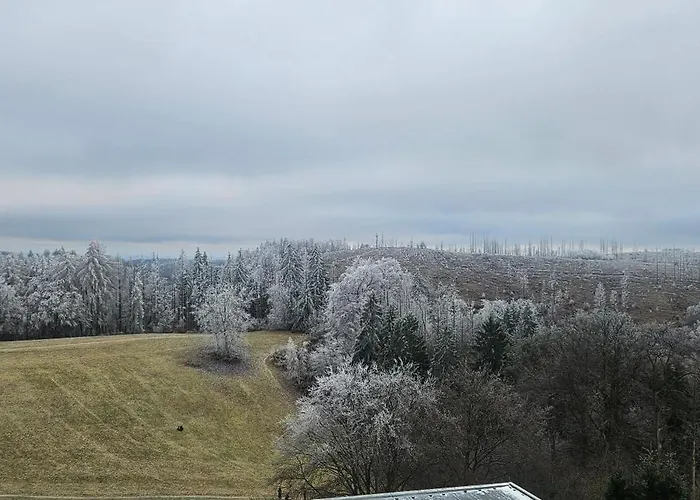 Manhattan 516 Mit Schwimmbad Apartment Braunlage