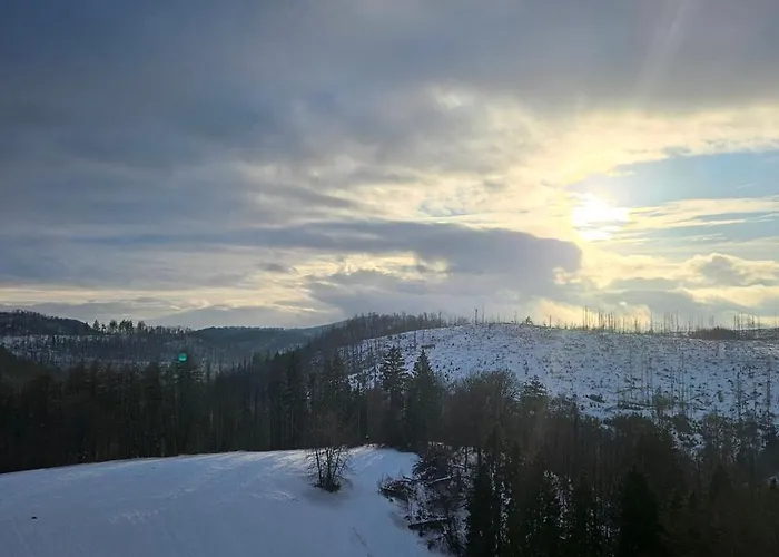 Apartment Manhattan 516 Mit Schwimmbad Braunlage